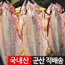 장스토어 반건조 삼치 2-3마리 국내산 군산직송, 02_삼치(대) 1.5kg 내외, 2마리