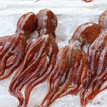 청정지역 완도 신선한 해산물 3종 골라담기, 돌문어 2kg
