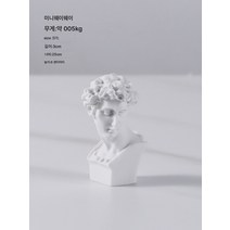 북유럽 문예의 빈티지 스케치 소두상 장식 미니 수지 석고상 장식 모델 하우스 장식, 미니 작은 욕실