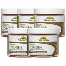 Natures Way 네이쳐스 웨이 뷰티 콜라겐 메츄어 스킨 Beauty Collagen Mature Skin 40정, 5개