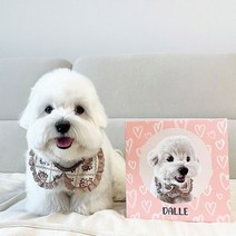 메르몽 반려동물 초상화, 곰돌이