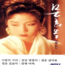 2CD_문희옥-골든/트로트/트롯/가요/음반/사랑의거리/강남멋장이/성은김이요/사은품CD증정