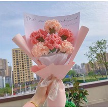 카네이션 꽃다발 꽃 뜨기 코바늘 재료 패키지 DIY, AD