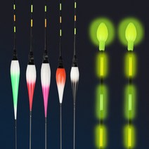 수광산업 전자찌 2P 민물 야간 찌 블루 오렌지, 1번 그린 31cm (2개묶음)