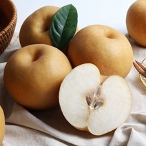 산지직송 나주배 가정용 신고배, 1박스, 5kg 8~9과
