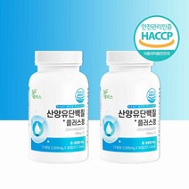 HACCP 산양유 단백질 정 알약 추천 식약처인증 네덜란드산 퀼리고트 산양유 효능 분리유청단백 BCAA 유청칼슘 산양유 mbp 분리유단백 미셀라카제인, 30알   2