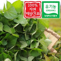 장현식품 유기농 생어성초 뿌리 어성초건초, 1box, 생어성초1kg