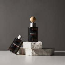 메이튼 스탠다드M 차량용 방향제 자동차 디퓨저 차 방향제 100ml 1+1 신차 새차 선물 고급 명품, 차량용 디퓨저100ml+우드 볼 스틱 2개, 에어프릴 프레시