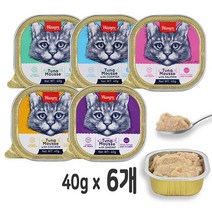 완피 캣무스 주식용 미니캔 (40g x 6개/BOX) 유통23년4월, 참치무스와 닭고기 40g x 6개