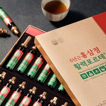 고려홍삼원 고려 홍삼정 활력포르테 10병 진생베리 홍삼진액 인삼열매 홍삼농축액 홍삼액기스 시아버지생신선물 부모님 설선물 구정선물