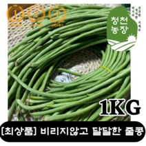 [최상품][국내재배] 정말 신선한 줄콩 1KG 비리지않고 달달한 롱빈 스트링빈스 LONG BEAN DAU DUA 줄기콩 초록 줄콩 그린빈스 껍질콩 그린빈 아스파라거스빈 스네이크빈