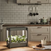 시티팜 스타터킷 식물재배기 수경재배기, 1개