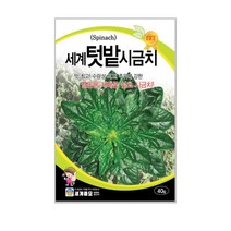 세계종묘 세계텃밭시금치씨앗 40g