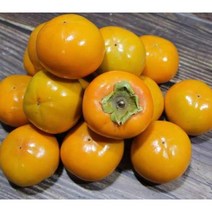 경남 꿀 부유 단감 10kg 60과내외
