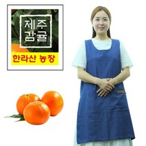 산지직송 제주 한라산 감귤 10kg 제주 밀감, 상세페이지 참조