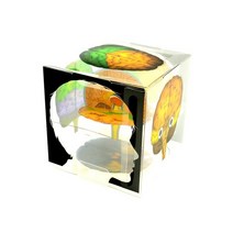[스터디랜드] 뇌 구조 모형 큐브 5명 set