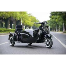 삼륜전기오토바이 3륜 세발 전기스쿠터 펫바이크 사이드카 72v 20a 1000w 3륜, 검은색