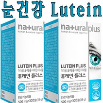 온가족 종합눈건강 대용량 루테인 마리골드꽃추출물 비타민A 비타민E 비타민B6 비타민B12 뉴테인 아연 엽산망간 구리 류테인 30캡슐 2박스, 1개(60캡슐/2개월분), 60캡슐
