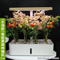 식물재배기 집에서상추키우기 수경재배기 아크릴온실 수직농장 스마트농업 미니, 플라스틱, Z202 수경재배기, 일반
