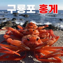 [렛츠팜] 동해안 자숙홍게 자숙 연지홍게 3kg, 가성비홍게3kg(육수용/라면용)