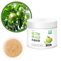 10배 고농축 유기농 풋 사과 추출 분말 가루, 1통, 250g