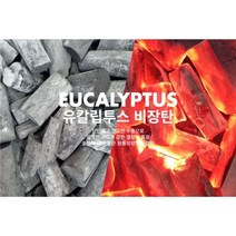 비장탄 유칼립 참숯 백탄 차콜 바베큐숯 캠핑숯 고기숯, M