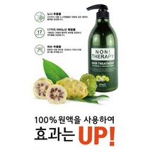 천연 노니샴푸 750ml/ 두피 테라피/ 노니 솔루션 샴푸, 1개, 750ml, 750ml