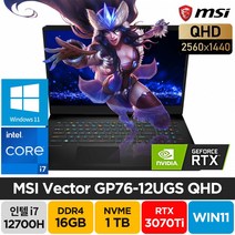 MSI 벡터 Vector GP76 12UGS QHD i7-12700H RTX3070Ti 윈도우11 17인치 게이밍 노트북, 블랙, 코어i7, 1TB, 16GB, WIN11 Home