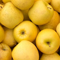 시나노 골드 사과 황금사과 노란사과 2kg 3kg 5kg, 1박스, (가정용-못난이) 중소과~중과 7-9과 / 2kg