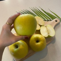 시나노 골드사과 스위트 홍로 경북 황금사과 5kg, 1개, 정품 3kg (소과15개)