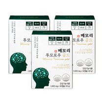 메모리투모로우 골드 식약처인증 포스파티딜세린 은행잎추출물 PS 징코 인지력 기억력 개선 건강기능식품, 3박스
