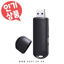 초소형 녹음기 USB 메모리 디자인 휴대용 차량용 비밀녹음 통화녹음 간편한 사용, USB녹음기(8GB)