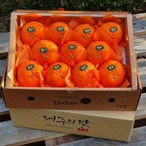 [고급이중포장] 제주명품 레드향 3kg(9~12수 대과선물용) 진홍색 만감류의 여왕 품격있는 과일선물세트 박스무게포함, 1박스