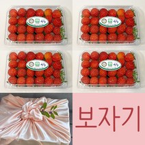 생딸기 제철 과일 선물세트 [ 보자기포장 노리개서비스 ] 고당도 딸기 선물세트, 2kg