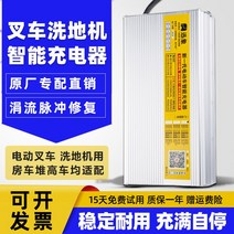 지게차 충전기 전동 바닥 세탁기 스태커 리프트 12V24V15A20A 관광 자동차 배터리, 22.12V18A 액체 충전 배터리 악어 클립 플러그