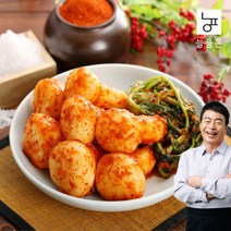 대복 [늘품은] 김하진 총각김치 3kg, 1