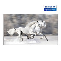 삼성전자 189cm LH75QBBEBGCXKR 4K UHD 스마트 사이니지 TV 모니터, 벽걸이형