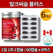 코스트코 건강한 간 리버케어 간에좋은 밀크씨슬 함량 130mg 카르두스 마리아누스 SILYMARIN 간비타민 실리마린 간건강, 6박스