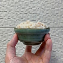 도자기 다이어트 밥그릇 미니 소식 밥공기, 꽃게, 1개