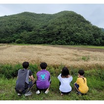 유기농밀가루 [지리산우리밀] 앉은키백밀가루/통밀가루, 앉은키통밀가루 1kg, 1kg, 1개