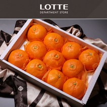 (롯데백화점)(롯데백화점)제주 레드향 선물세트 4.5kg 소과 20-26과내외