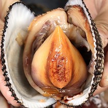 피조개 제철 피꼬막 왕피꼬막 왕피조개 1kg 2kg, 피조개2kg 6-14미