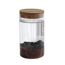 세남자바스켓 네이쳐 테마 국산 마리모 DIY세트, 제주아일랜드 세트