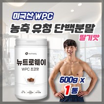 미국산 농축유청단백분말 WPC 딸기맛 보충제 다이어트 벌크업 쉐이크 보조제, 1개, 600g
