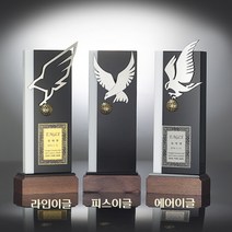골프트로피 R19-868-1 홀인원패 싱글패 이글패