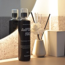 어썸쿨가글 500ml 대용량 입냄새 제거제 프로폴리스 구취 구강 세정제 청결제 찌꺼기, 어썸쿨가글 1병