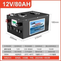 리튬 인산철 배터리 파워뱅크 300A 200A 12V 24V, 12v80AH