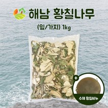 해남 황칠나무 (잎 가지) 1kg + 황칠수제비누, 1개
