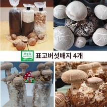 집에서 표고버섯 식물 키우기 배지 재배 종균 키트 체험 방학 학습, 표고버섯키우기 4개