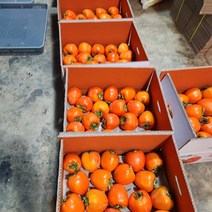 감 대봉감 대봉 특과10kg~16kg 생산자직판 도매가격 KBS인간극장출연농부 지리산농부 지리산똑순이, 대봉감15kg왕특대30-40과